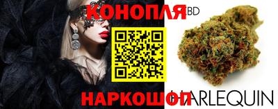 винт Новодвинск
