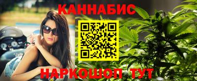 стафф Новозыбков