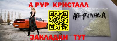 стафф Новозыбков
