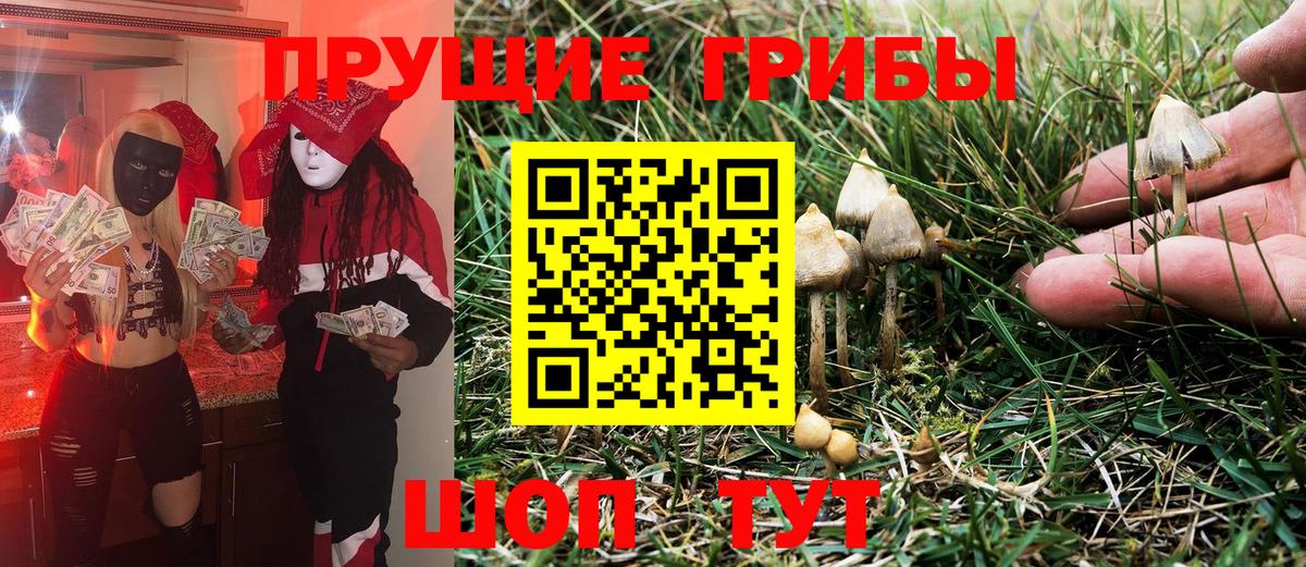 Уссурийск  Галлюциногенные грибы мицелий  Галлюциногенные грибы Magic Shrooms  Вход с VPN 